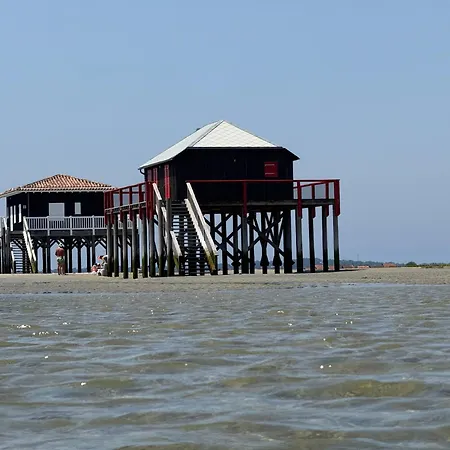 Campeggio Luxueux 1ere Igne Lège-Cap-Ferret
