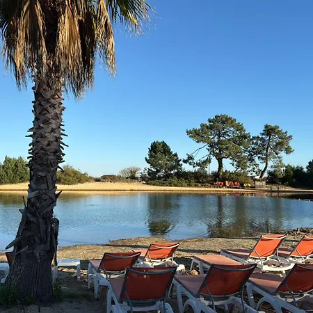 Luxueux 1ere Igne Lège-Cap-Ferret