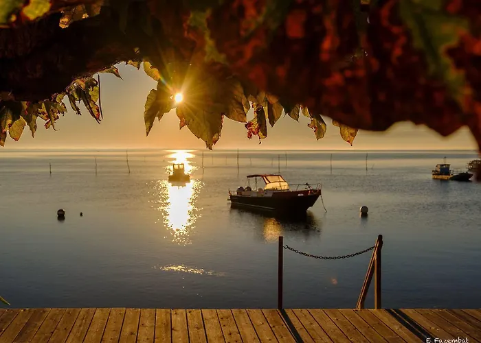Un Toit Sur Le Bassin Solaire *